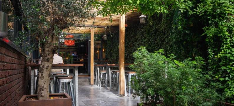 圣克里斯托弗温斯顿旅馆(St Christophers Inn at the Winston)图片