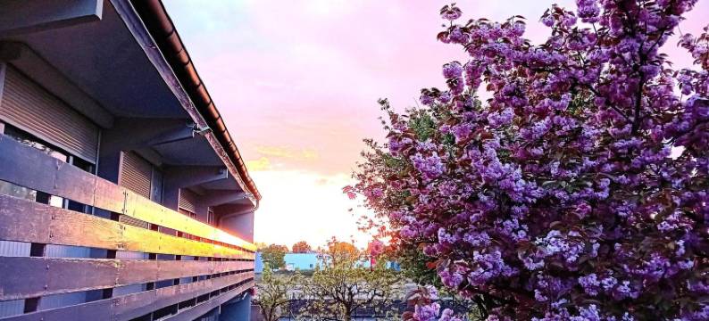 拉瓦勒酒店设计旅馆(Hotel Inn Design Laval)图片