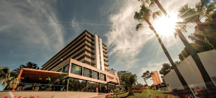卡尔维亚海滩库克俱乐部 仅成人(Cooks Club Calvia Beach - Adults Only)图片