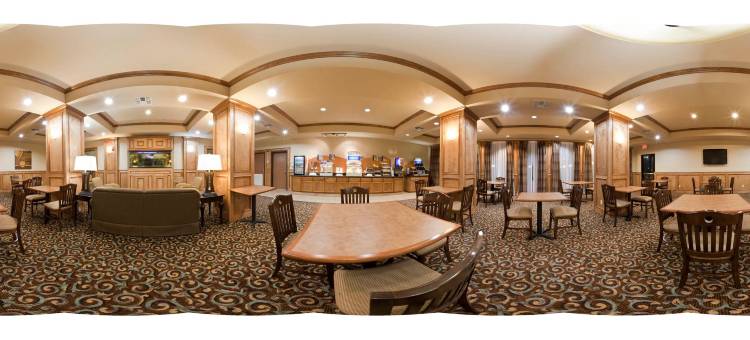 智选假日套房酒店金斯维尔(Holiday Inn Express & Suites Kingsville)图片