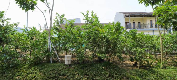 格利亚姆尔雅旅馆(Griya Mulya Near Alun Alun Batu Mitra RedDoorz)图片