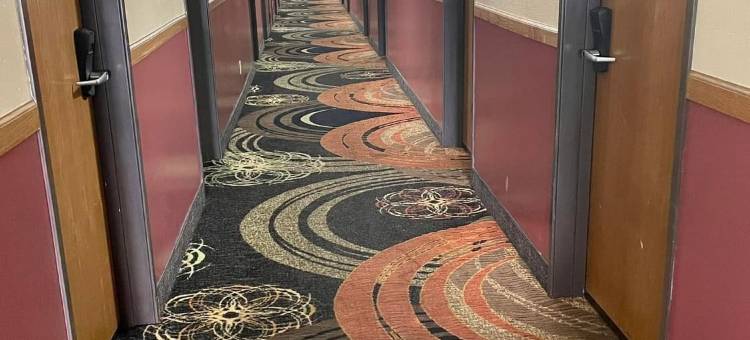 速8酒店-温德姆集团巴黎伊利诺伊(Super 8 by Wyndham Paris IL)图片