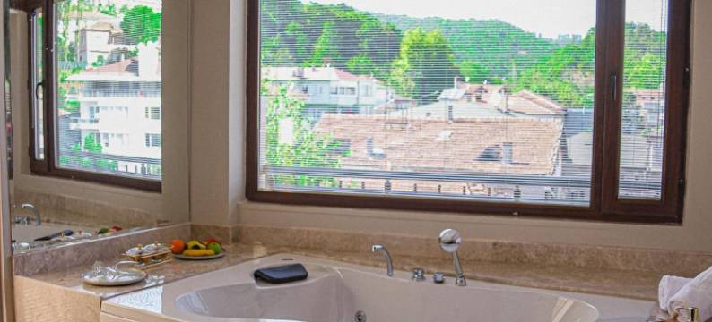 黑鸟温泉水疗酒店(Black Bird Thermal Hotel & Spa)图片