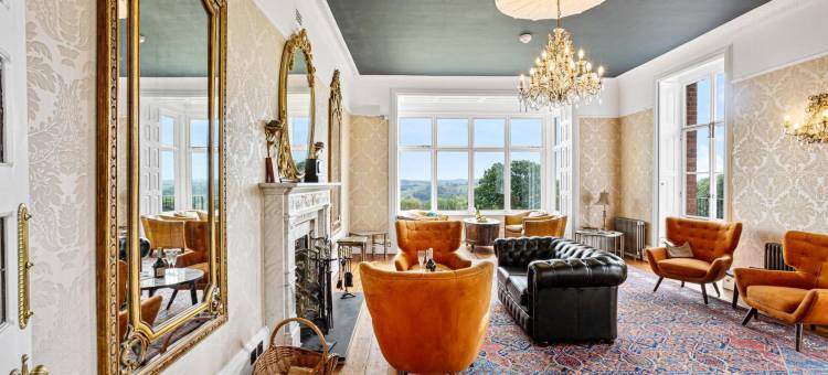 鼹鼠度假村 - 酒店房间(The Mole Resort - Hotel Rooms)图片