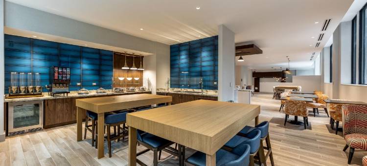 芝加哥中央环线希尔顿花园酒店-伊利诺伊州(Hilton Garden Inn Chicago Central Loop)图片