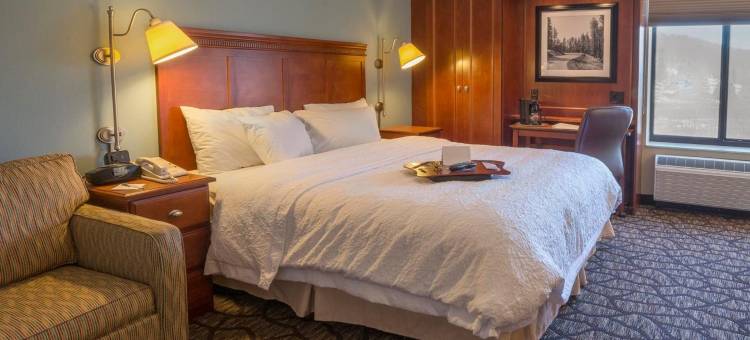 宾厄姆顿维斯塔欢朋套房酒店(Hampton Inn & Suites Binghamton/Vestal)图片