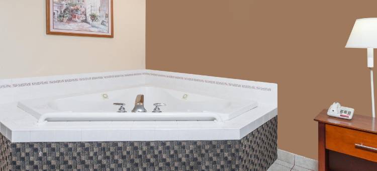 伊姆利市温德姆戴斯酒店(Days Inn by Wyndham Imlay City)图片