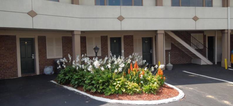 骑士旅馆布里斯托(Knights Inn Bristol)图片