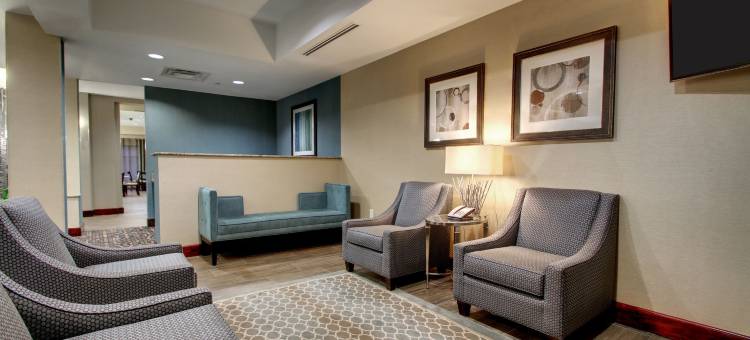 智选假日套房酒店纳奇兹南西(Holiday Inn Express & Suites Natchez South)图片