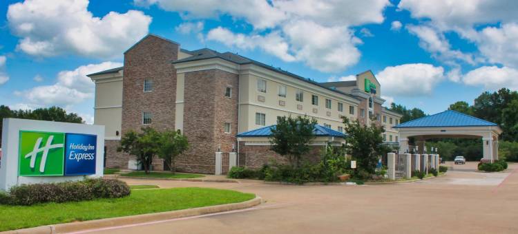 Holiday Inn Express 帕勒斯坦(Holiday Inn Express Palestine)图片