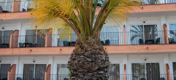 科马鲁贾普提加岬酒店(Hotel Comarruga Platja)图片