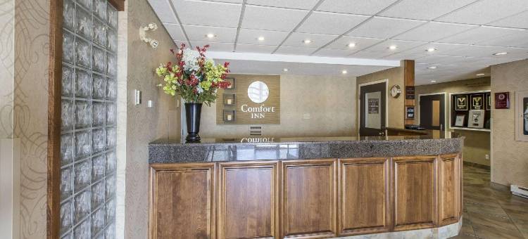 舒适酒店(Comfort Inn - Gander)图片