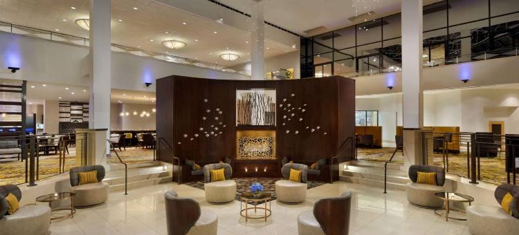 斯坦福希尔顿逸林酒店(DoubleTree by Hilton Stamford)图片