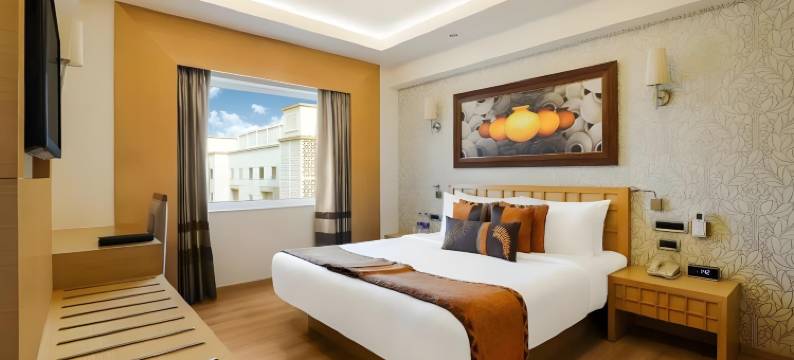 德里机场柠檬树酒店(Lemon Tree Premier, Delhi Airport)图片