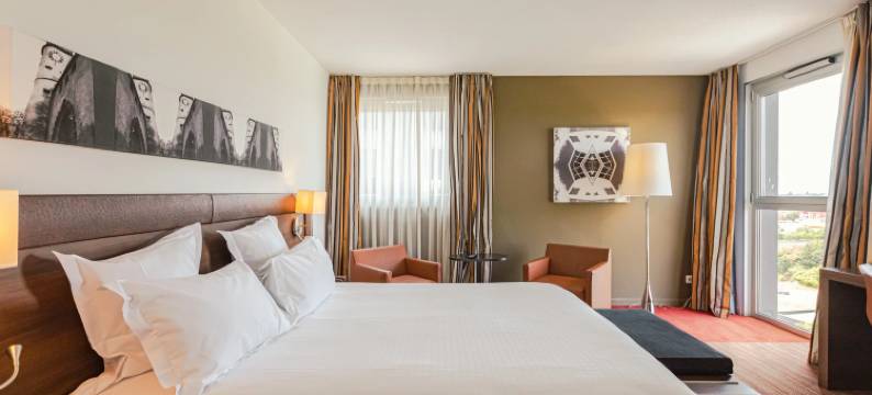 Holiday Inn 米卢斯(Holiday Inn MULHOUSE by IHG)图片