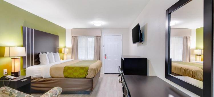 帕勒斯坦温德姆速 8 酒店(Super 8 by Wyndham Palestine TX)图片