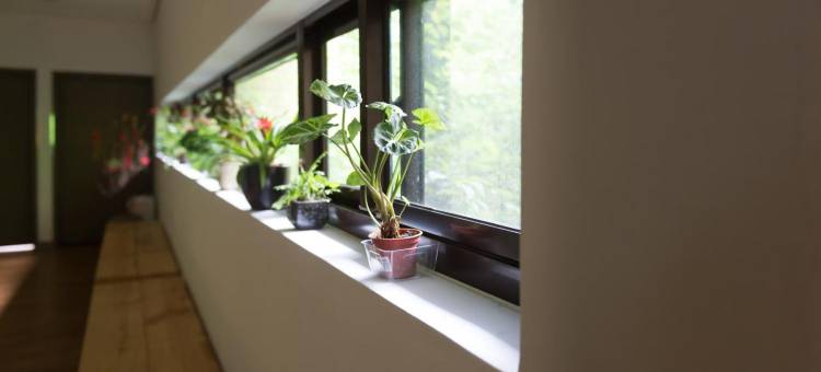 云山仙境民宿-拉拉山图片