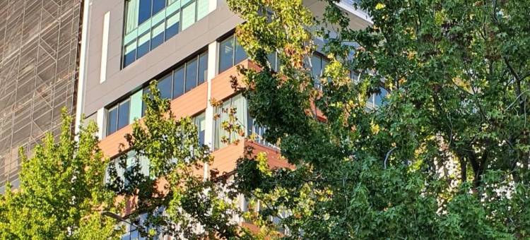 霍布森探索酒店(Quest on Hobson)图片