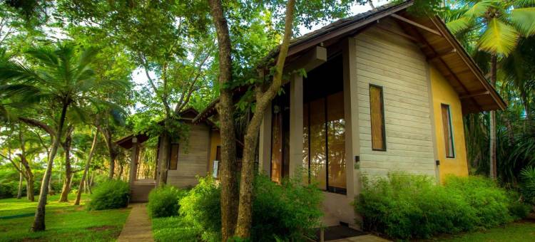 唐加勒棕榈天堂小屋及别墅海滩度假村(Palm Paradise Cabanas & Villas Beach Resort)图片