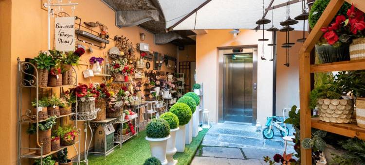 依赖(La Dependance)图片