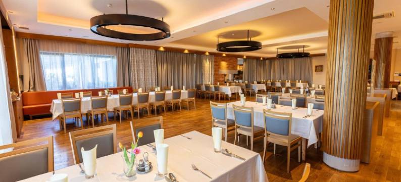 多伦吉克酒店(Hotel Dolenjc)图片