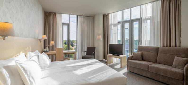 雷西威尔大象酒店(Rixwell Elefant Hotel)图片