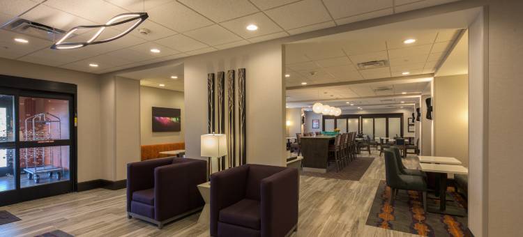 布法罗汉堡镇欢朋酒店(Hampton Inn Buffalo/Hamburg)图片