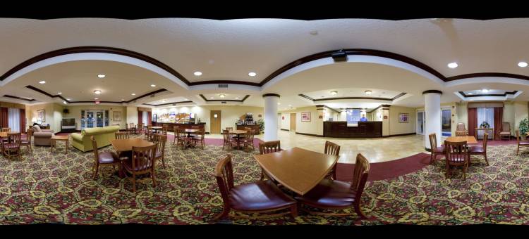 智选假日套房酒店布鲁克斯维尔西(Holiday Inn Express & Suites Brooksville West)图片