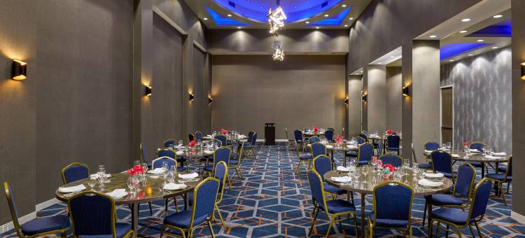 纽约布鲁克林喜来登酒店(Sheraton Brooklyn New York)图片