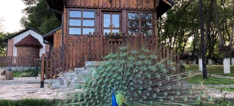 Villa Bratislava图片