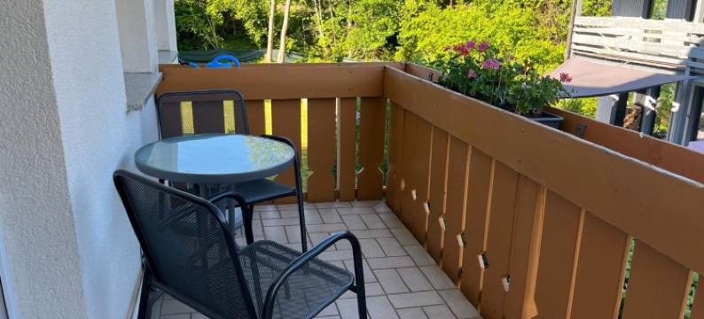 查藤巴赫民宿酒店(Hotel Zartenbach)图片