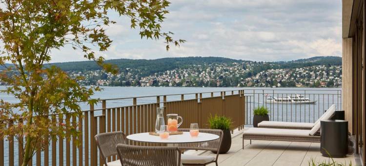 亚历克斯湖苏黎世 - 生活方式酒店和套房(Alex Lake Zürich - Lifestyle Hotel and Suites)图片