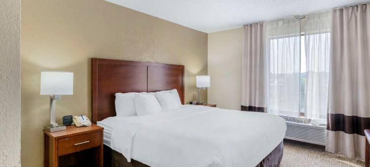 拉格兰奇舒适酒店及套房 - 路易斯维尔地区(Comfort Inn & Suites la Grange - Louisville Area)图片