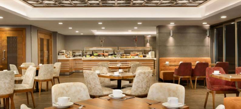 布尔萨瑟基尔吉温德姆华美达温泉 Spa 酒店(Ramada by Wyndham Bursa Çekirge Thermal & Spa)图片