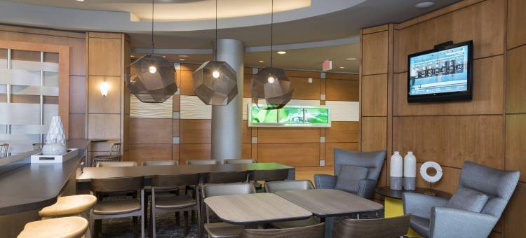 底特律奥本山万豪SpringHill酒店(SpringHill Suites Detroit Auburn Hills)图片