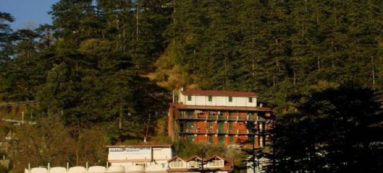 西姆拉思维林酒店(Hotel Silverine Shimla)图片