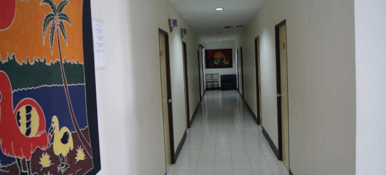 菠萝旅馆(Pineapple Guesthouse)图片