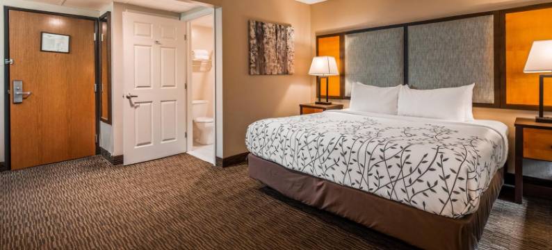 Americinn by Wyndham Birch Run/Frankenmuth(Americinn by Wyndham Birch Run/Frankenmuth)图片
