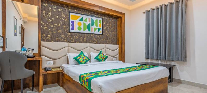 Treebo 绿橄榄(Treebo Green Olive)图片