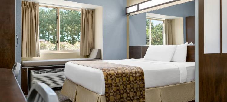 Microtel Inn & Suites by Wyndham Woodstock/Atlanta North图片