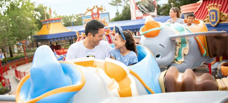 奥兰多主题乐园/布纳维斯塔湖SpringHill Suites酒店(SpringHill Suites by Marriott Orlando Theme Parks/Lake Buena Vista)图片