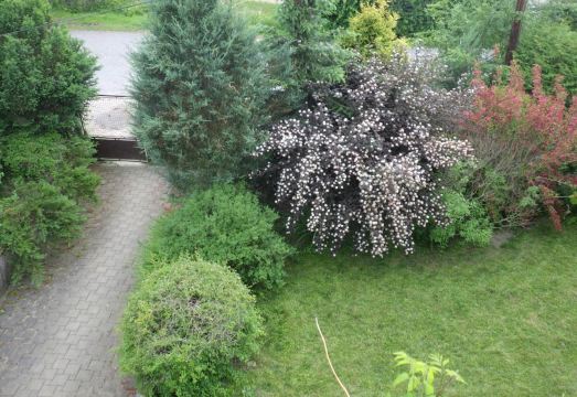 Ubytování u Dolanských Hotel Overview