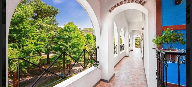 布鲁克森林图片