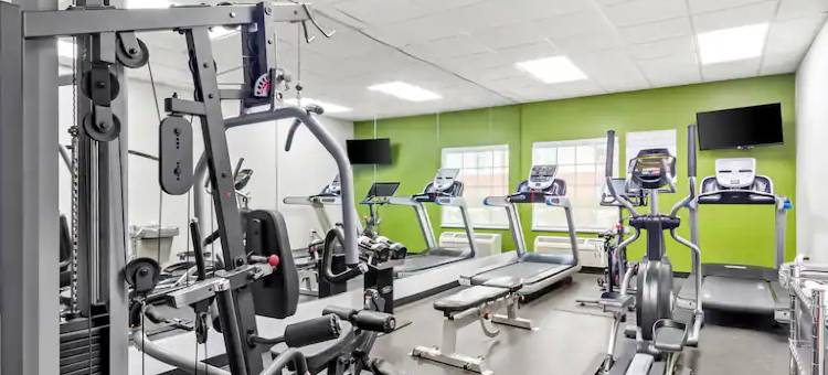 Spark by Hilton Kingsland图片