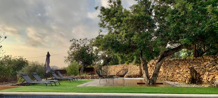 卡利格之夜(Noches de Calig)图片