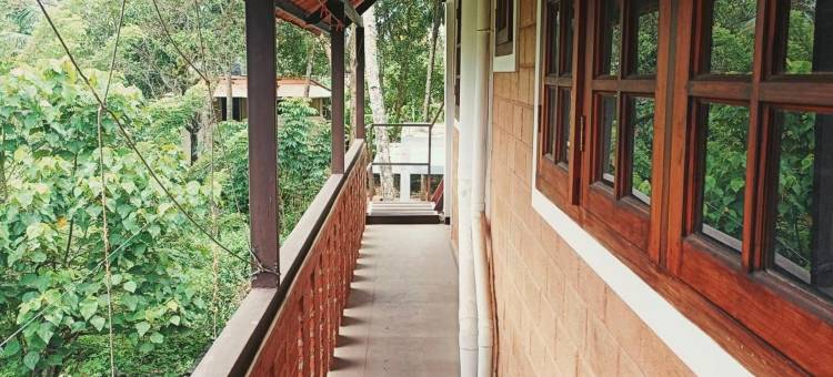 高丽的民宿(Gouri's Homestay)图片