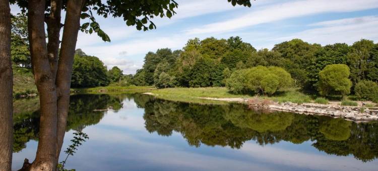 韦弗利城堡酒店(The Waverley Castle Hotel)图片
