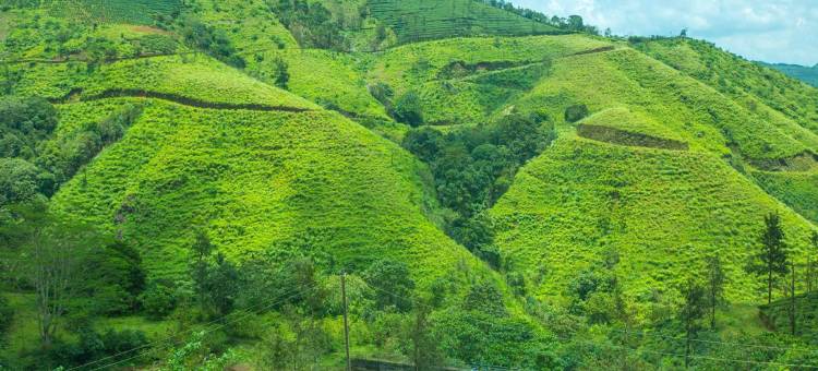 Hidden Valley Hill View Cottage Vagamon by Voye Homes图片