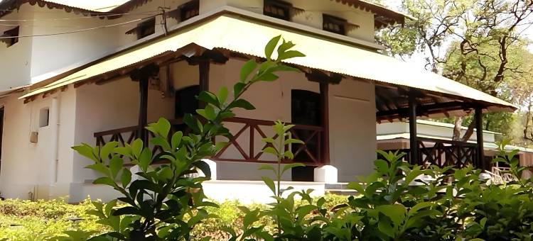 树林探险度假村(Woodland Adventure Resort)图片