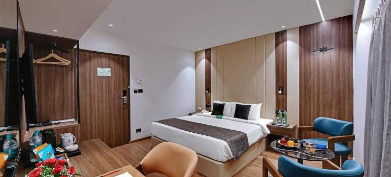 苏巴之星酒店，艾哈迈达巴德(Hotel Suba Star Ahmedabad)图片